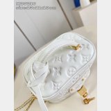 Louis Vuitton AAA+ M25123/M25219 Vanity PM Coussin Women Bag