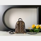 Top Quality Classical Palm Springs Louis Vuitton backpack