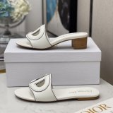 Designer Replica Shoes Christian Dior D-Club