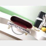 Perfect Top Quality Vanity AP5049 Bag