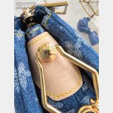 Louis Vuitton V x TM Coussin PM Monogram Denim M14978 Bag