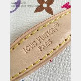 Louis Vuitton Monogram Multicolor White M27941 7 Star Bag