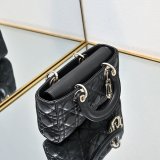 Lady D-Joy Lambskin Small Bag