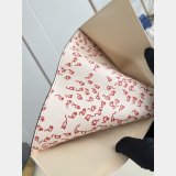 Louis Vuitton Passport Cover Monogram Canvas M25753 Bag