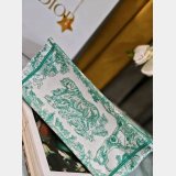 Top Quality Christian Dior Paris Reverse book Tote