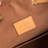 Louis Vuitton Montsouris Backpack Monogram Canvas/Natural leather Brown Replica