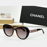 2025 CH 8048 Sunglasses