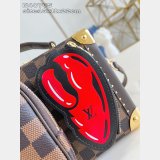 Louis Vuitton 1:1 Mirror Sawagani Trunk N40765 Bag