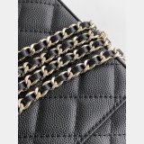 Luxury Long Vanity AP4530 Replica Chain Shiny Bag