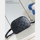 Louis Vuitton M25518/M26509 Tiny Camera Designer Bag