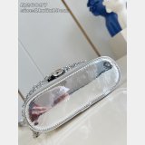 Louis Vuitton Vanity Chain Pouch Other Monogram Canvas LV Ski M26097 Bag