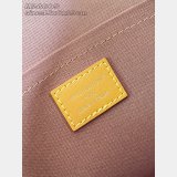 Louis Vuitton Satchel Wearable Wallet G69 M26805 Bag