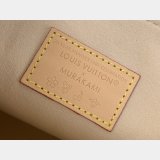 Louis Vuitton M13255 LV x TM Dauphine Soft GM Other Monogram Canvas Bag