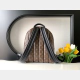 Top Quality Classical Palm Springs Louis Vuitton backpack