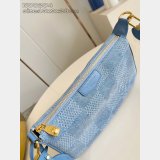 Louis Vuitton Pochette Accessories XL Damier Other N00204 Bag