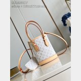 Replica Louis Vuitton Fashion Nano Bucket M12317 Bag