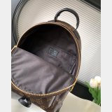 Top Quality Classical Palm Springs Louis Vuitton backpack