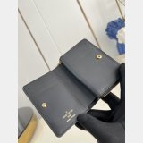 Louis Vuitton Zippy Wallet Cartera Lou M12378 & M12152 Bag